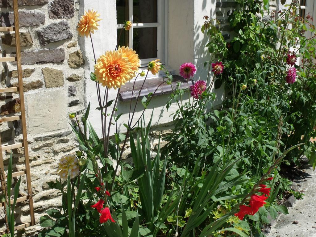 B&B La Beauconniere Lamberville エクステリア 写真